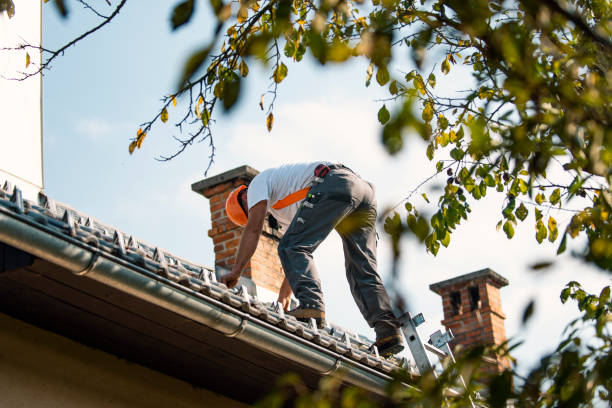 Best Roof Leak Repair  in Trent Woods, NC