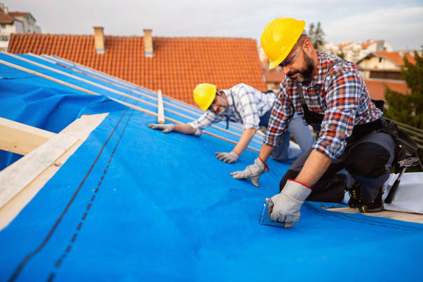 Best Roof Gutter Cleaning  in Trent Woods, NC